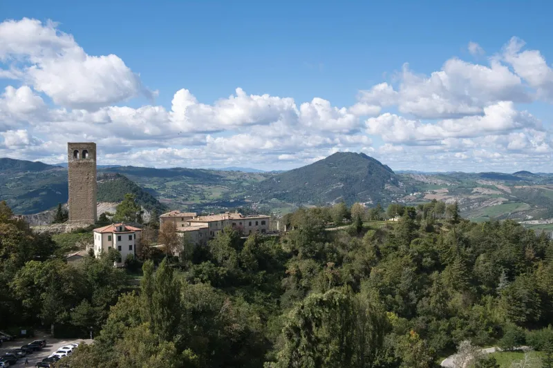 The Quiet Coup: How Federalist Society Judges Are Rewriting the Constitution Without a Single Vote